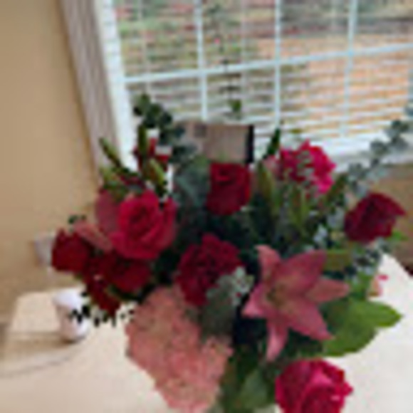 Meet your Posher, Devon - Picture 1 of 1